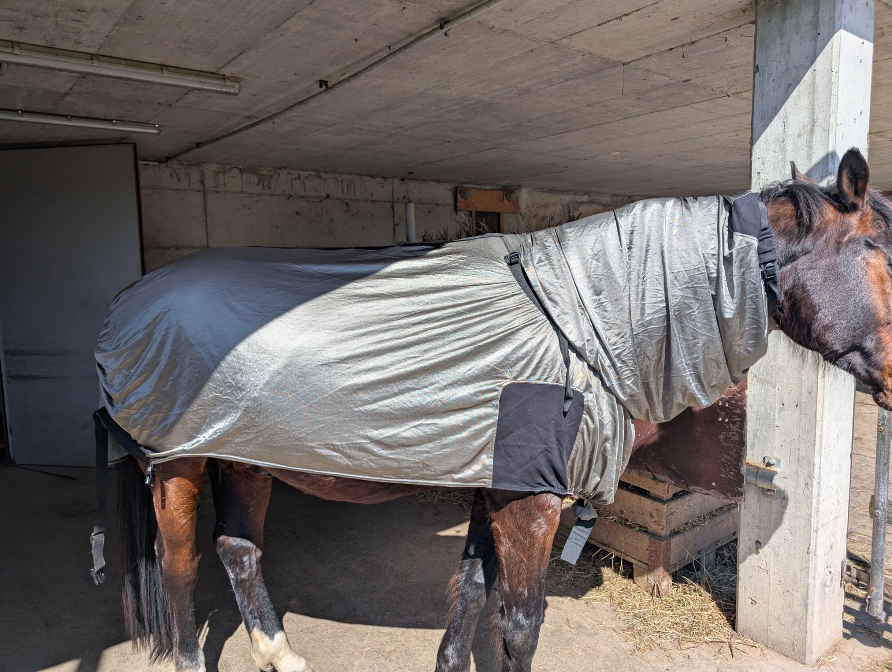 Coperte: Ekzemerdecke – Usato da Zwillikon venduto da martinza