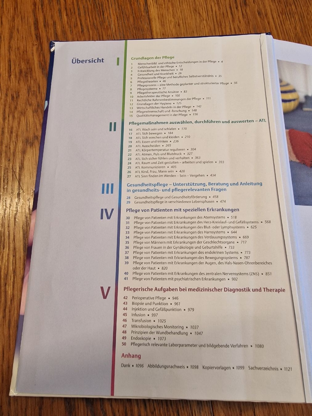 Libri: Altes Thieme Pflege Buch mit  4 CDs – Usato da Steinen venduto da sam_zy9z 3