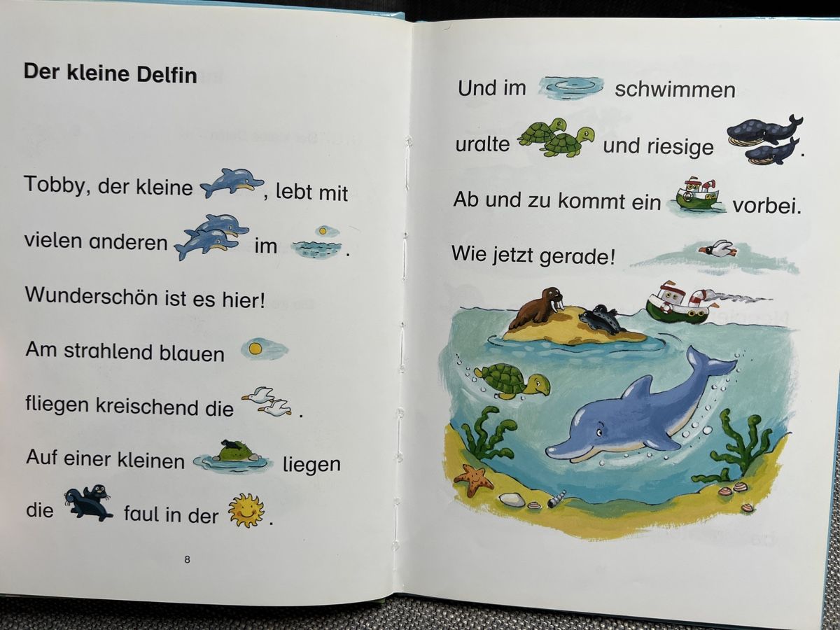 Libri: Erstlesebuch / Delfingeschichten – Nuovo (secondo la descrizione) da Kirchberg BE venduto da Bergdorf16 3