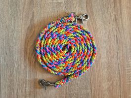 Zügel mit Karabiner