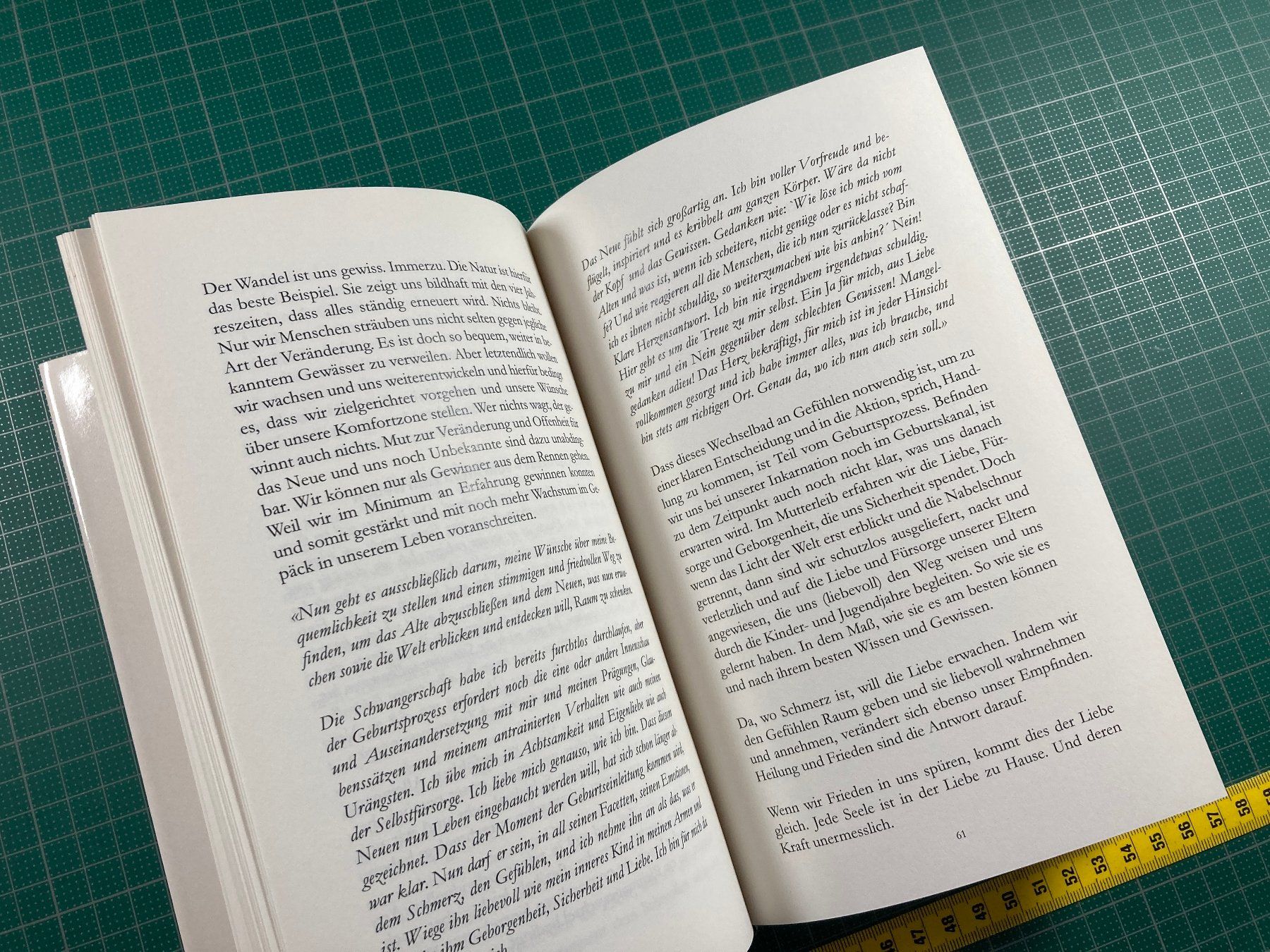 Bücher: Barbara Michaela Tanner: Lasse los, sei und werde – Gebraucht aus Lenzburg von fh1 6