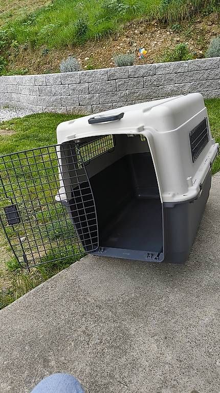 Gabbie, trasporto & Sicurezza: Hundebox / Tiertransportbox – Usato da Brunnadern venduto da lala043 2