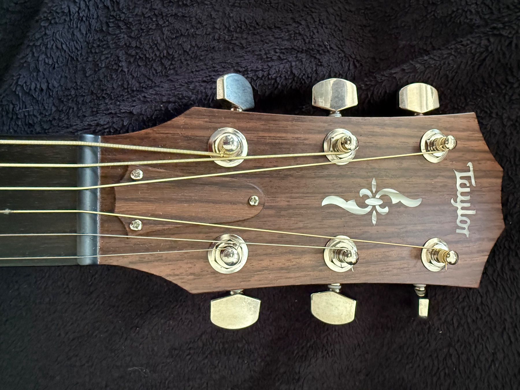 Taylor Strumenti musicali: Taylor 414ce-R V-Class inkl. Originalkoffer – Usato da Zollikerberg venduto da JHB 2
