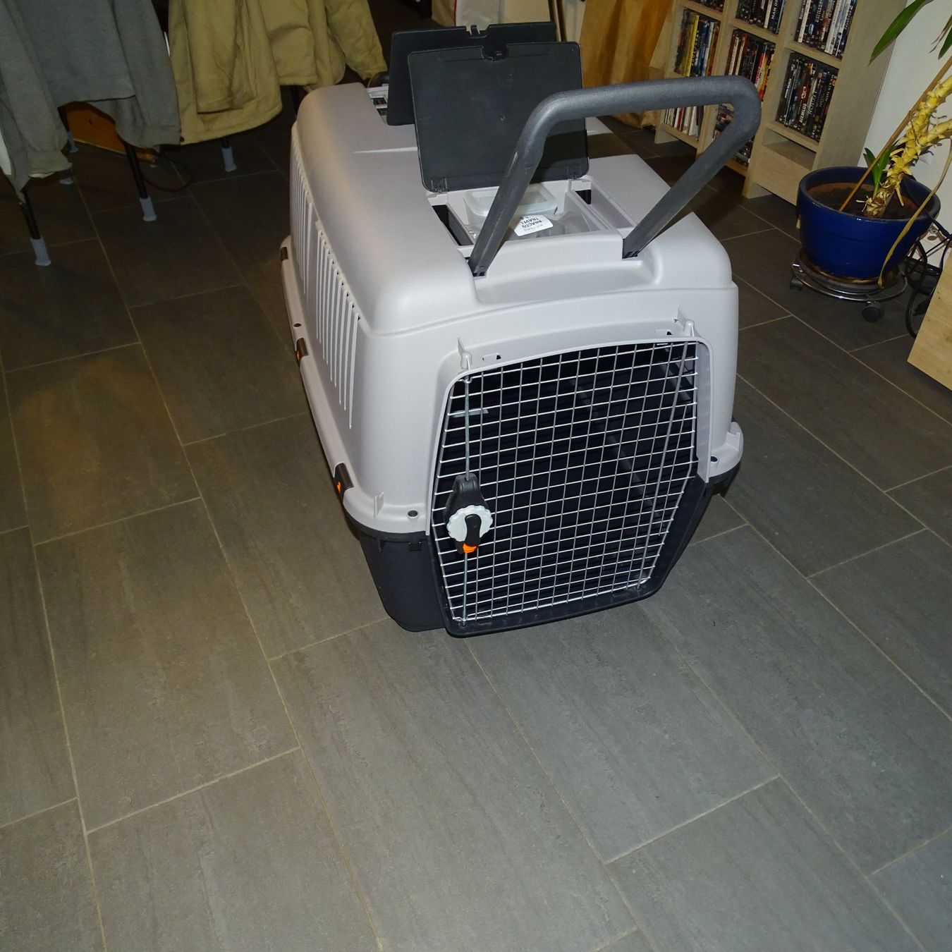 Sonstige Dekorationen & Accessoires: Grosse Hundebox – Neu (gemäss Beschreibung) aus Büetigen von Djtomekk1 2