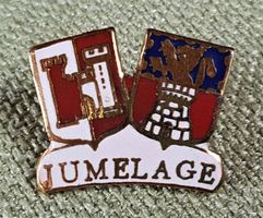 D651 Pin Jumelage Elan Chaptelat Couzeix