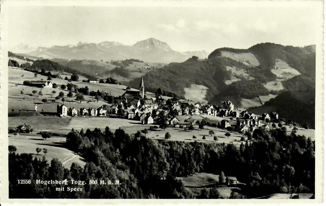 Cartoline postali: Mogelsberg – Usato da Hochdorf venduto da Ziegel-16