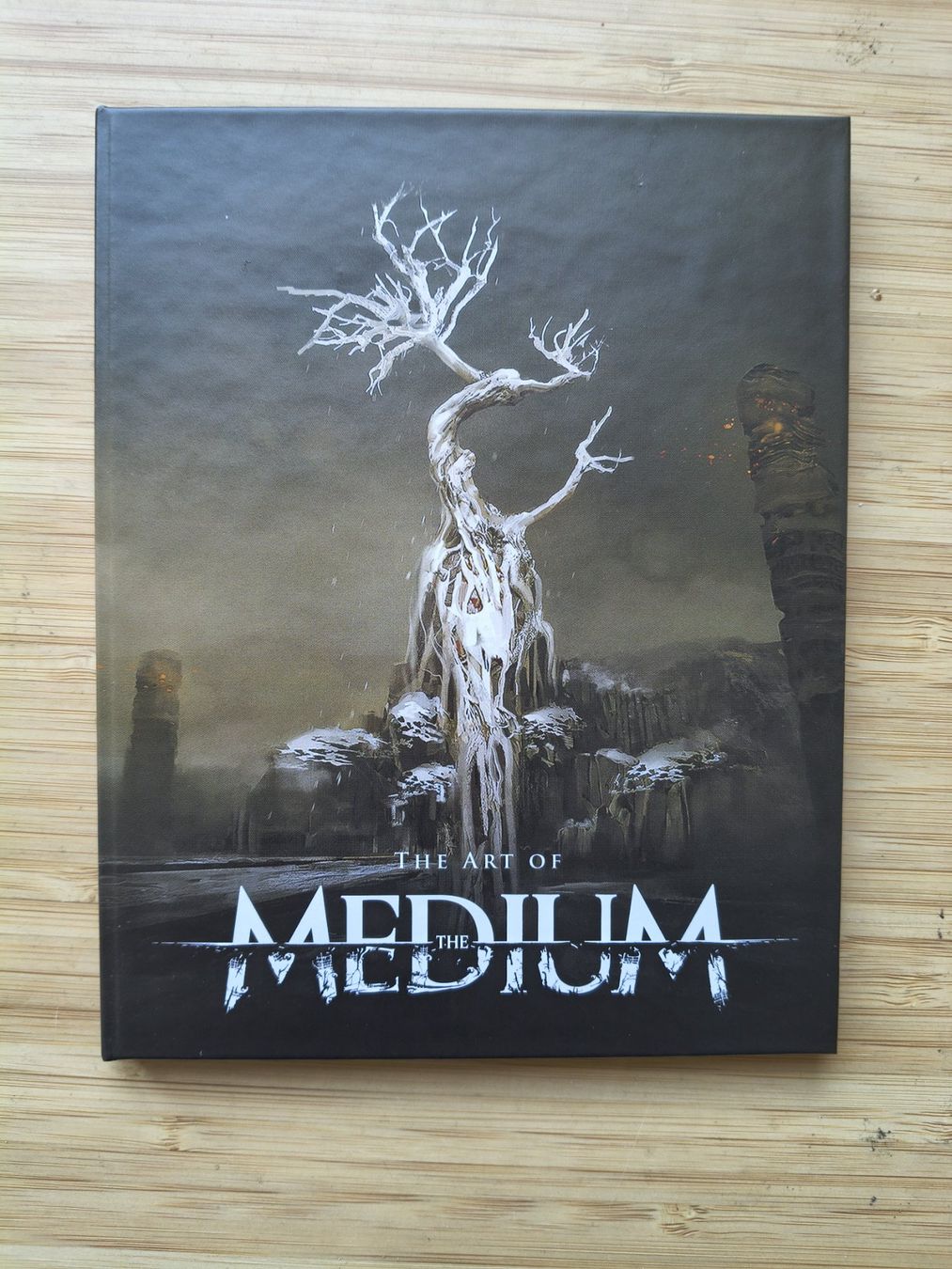 Giochi: The Medium - Two Worlds Special Edition (PS 5) – Usato da Riedholz venduto da ste_96cd 3