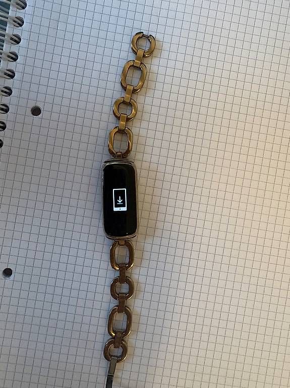 Fitbit Smartwatch: Fitbit luxe gold fitness tracker – Usato da Zürich venduto da sho_9b69