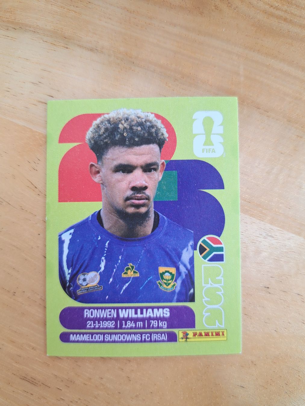 Panini Carte collezionabili: Panini FIFA World Cup RSA 2 – Nuovo (secondo la descrizione) da Waldenburg venduto da Sysilu