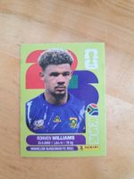 Panini FIFA World Cup RSA 2