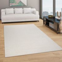 -50% ‼️‼️ 240x340 Teppich Wohnzimmer Creme neu