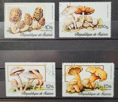 GUINEA – PILZE / CHAMPIGNONS