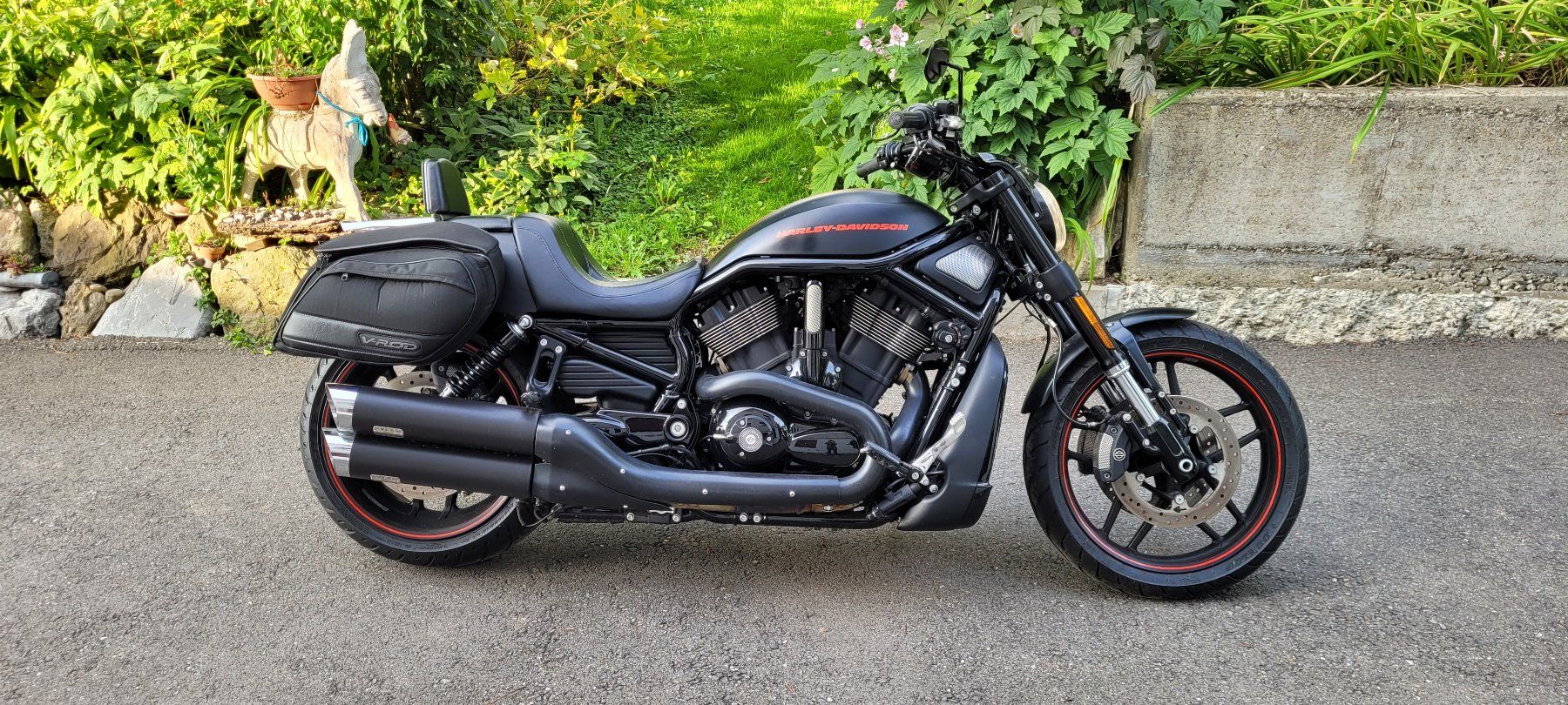Harley-Davidson Chopper: Harley Davidson VRSCDX Night Rod Special – Gebraucht aus Schönenberg ZH von Split