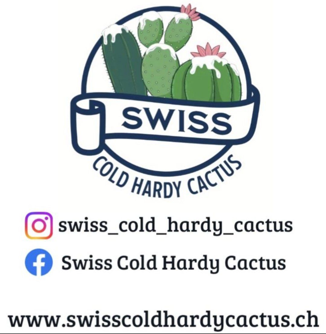 Plantes & graines: Azolla caroliniana – D'occasion à Vuisternens-Romont par Cold_cactus 2