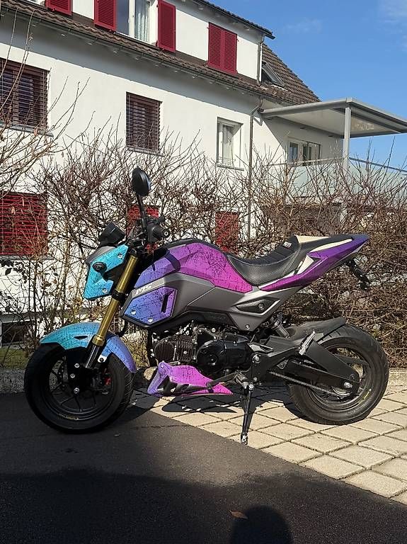 Honda Altro: Honda MSX 125 – Usato da Hinwil venduto da fir_v7yk 1