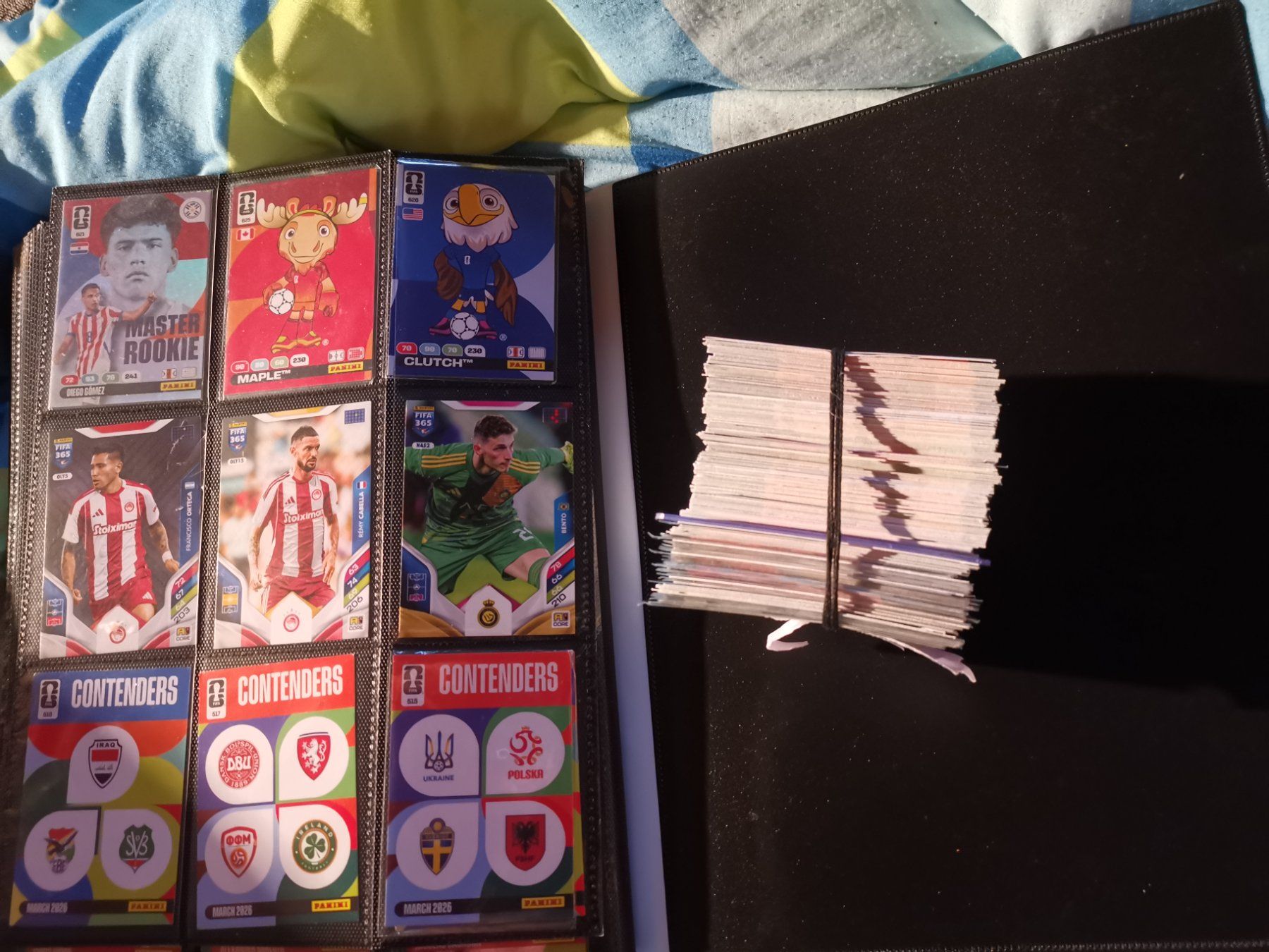 Panini Carte collezionabili: FUSSBALL PANINI BILDER 2026 CA. 500STK. – Usato da Altnau venduto da playboy