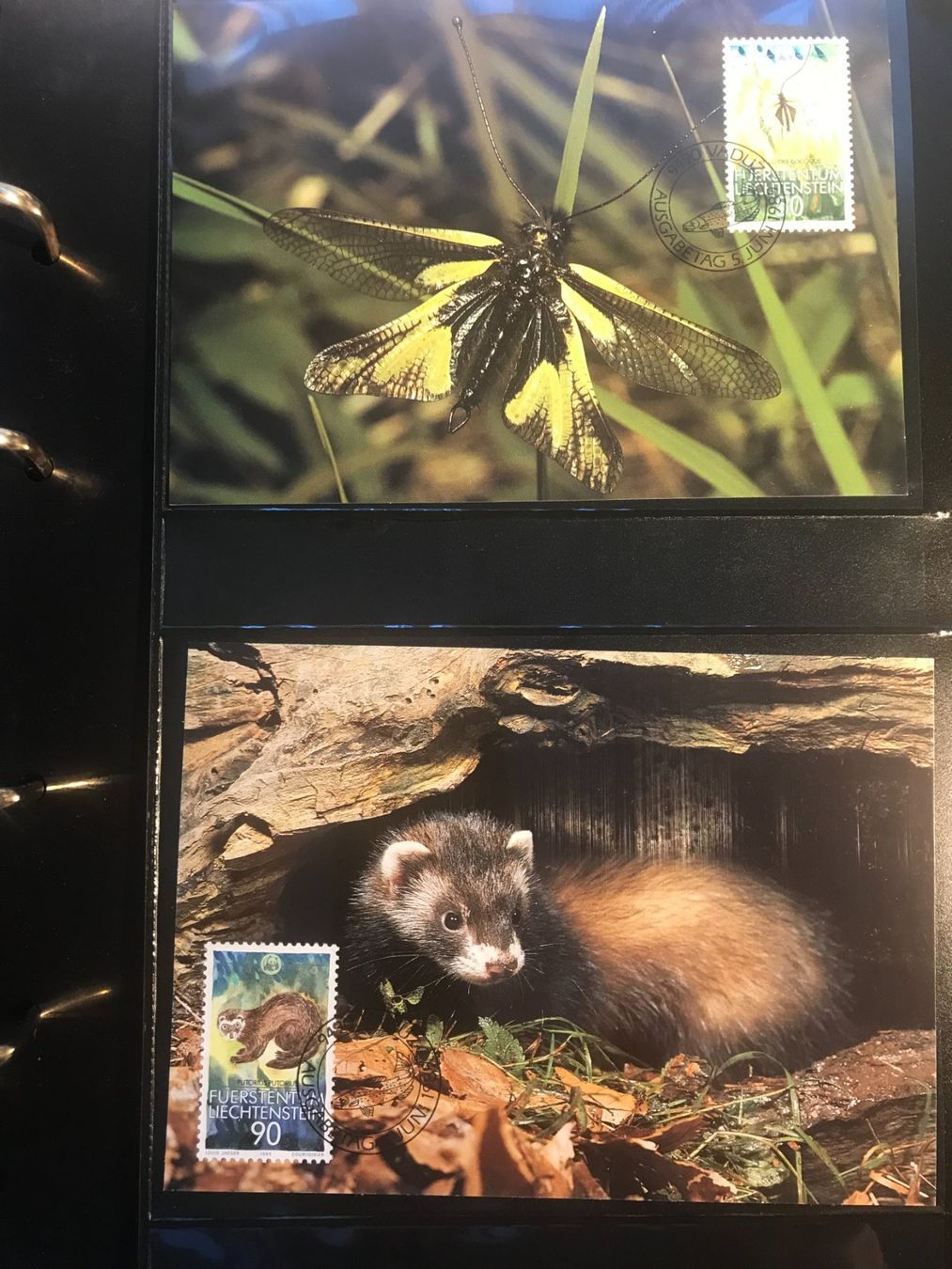 Tutti i francobolli: WWF Liechtenstein 1989 Satz bedrohte Tierarten Maximumkarten – Nuovo (secondo la descrizione) da Liestal venduto da schnueps 1