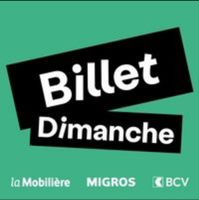 1 Billet Adulte Paléo Festival Dimanche 26.07.2026