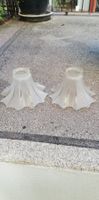 2 alte identische Lampenschirme aus Glas