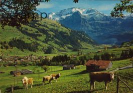 1982 AK Lenk _ Wildstrubel