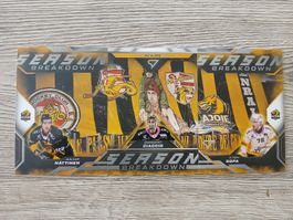 Eishockey Karten Season Breakdown HC Ajoie 