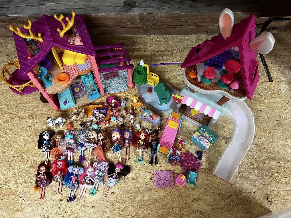 Spielzeuge: Puppen Enchantimals Set – Gebraucht aus Schwyz von sdesiree