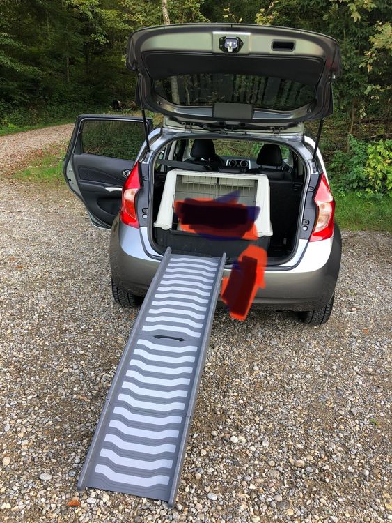 Fabelhafte Hunderampe Frs Auto Ebenbild