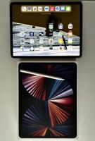 Apple iPad Pro 12.9  5 Generationen 