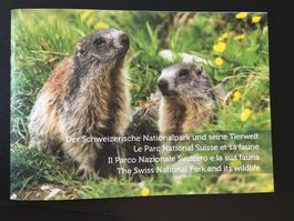 Folder 100 Jahre Nationalpark ergänzt mit 14 Tiermarken uniq