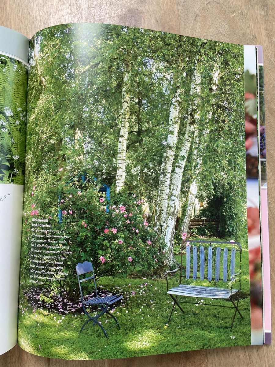 Libri: Das Sommerbuch Wohnen & Garten Buch neuwertig – Nuovo (secondo la descrizione) da Luzern venduto da waterfront1 6