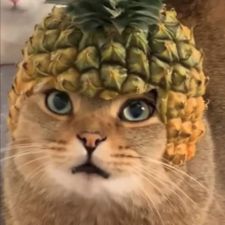 Profile image of ant_wr5n