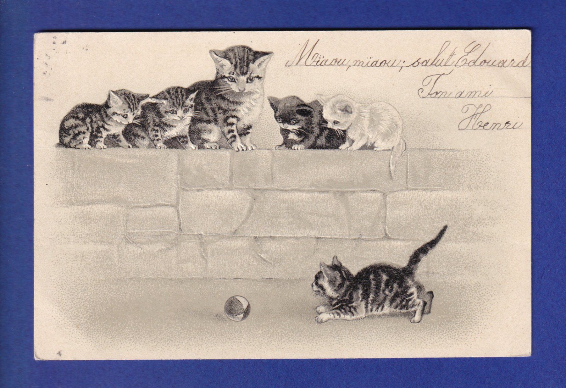 Cartes postales: CHAT - Chatons joueurs - Carte gauffrée – D'occasion à Pully par nicecards-shop