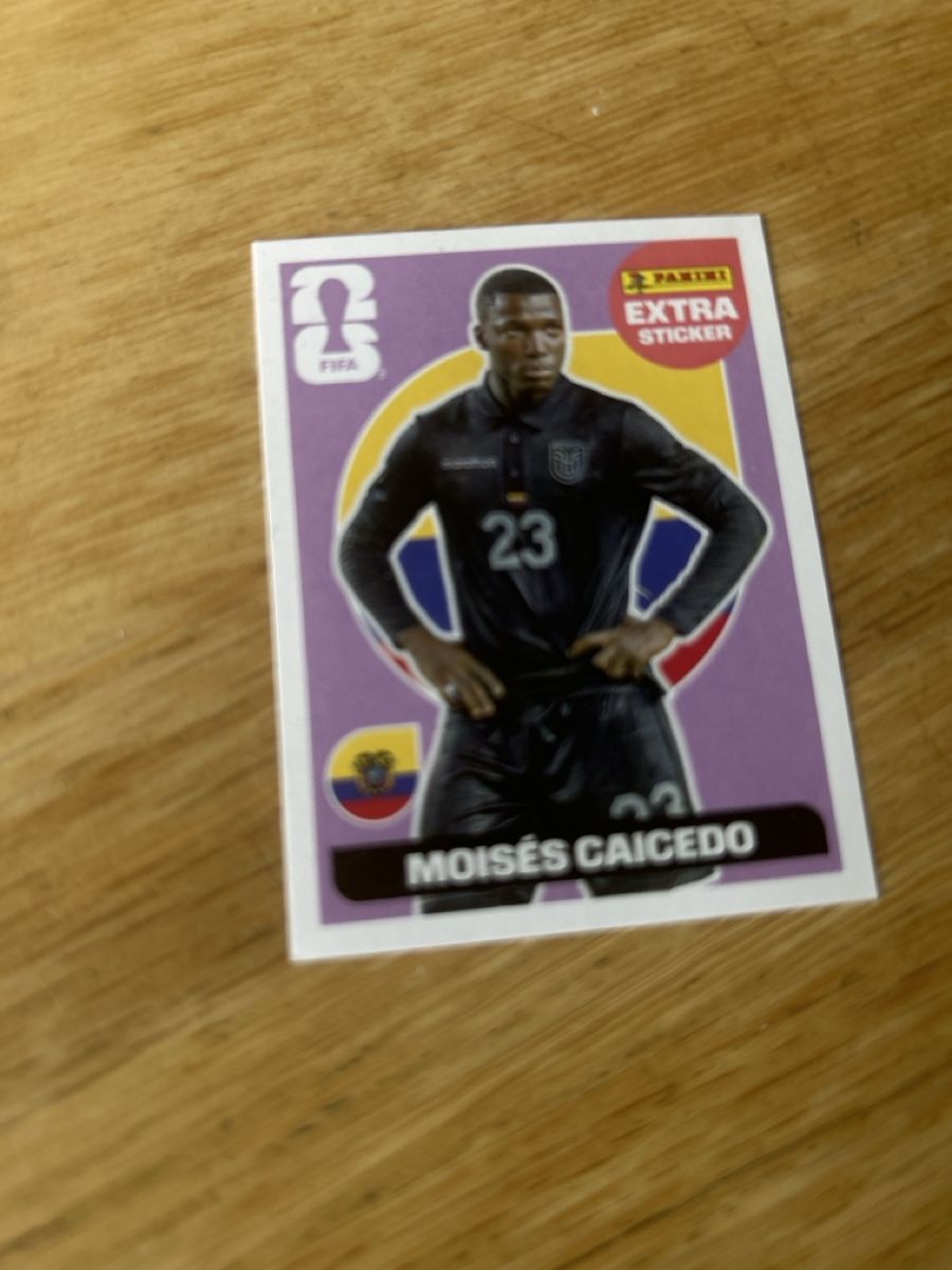 Sticker: Panini Sticker ( Moisés Caicedo  – Nuovo (secondo la descrizione) da Zetzwil venduto da BaBo1981