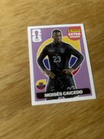 Panini Sticker ( Moisés Caicedo 