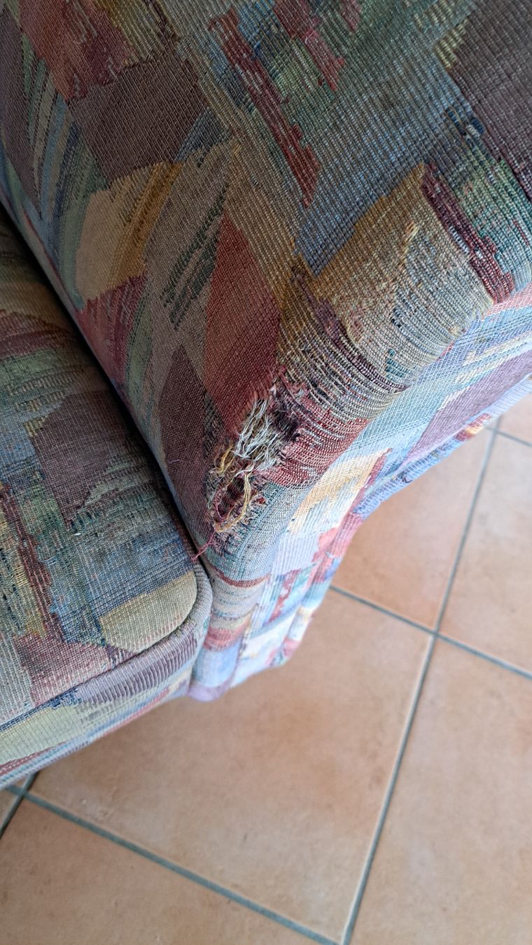 Poltrone: Sessel – Usato da Riehen venduto da Chimpara 3