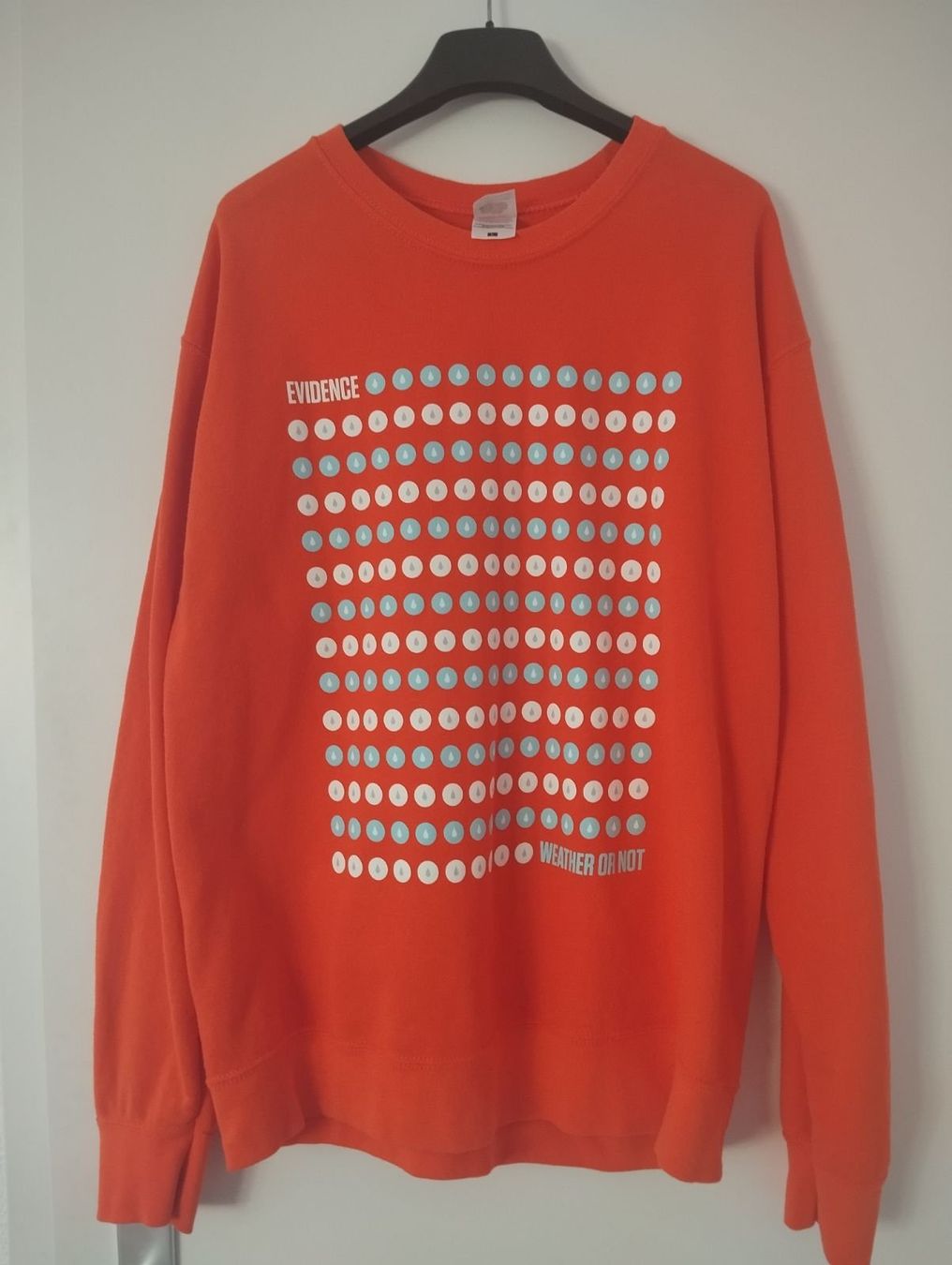 Maglioni & Felpe: Sweatshirt Evidence Weather Or Not – Usato da Biel/Bienne venduto da sli_679k