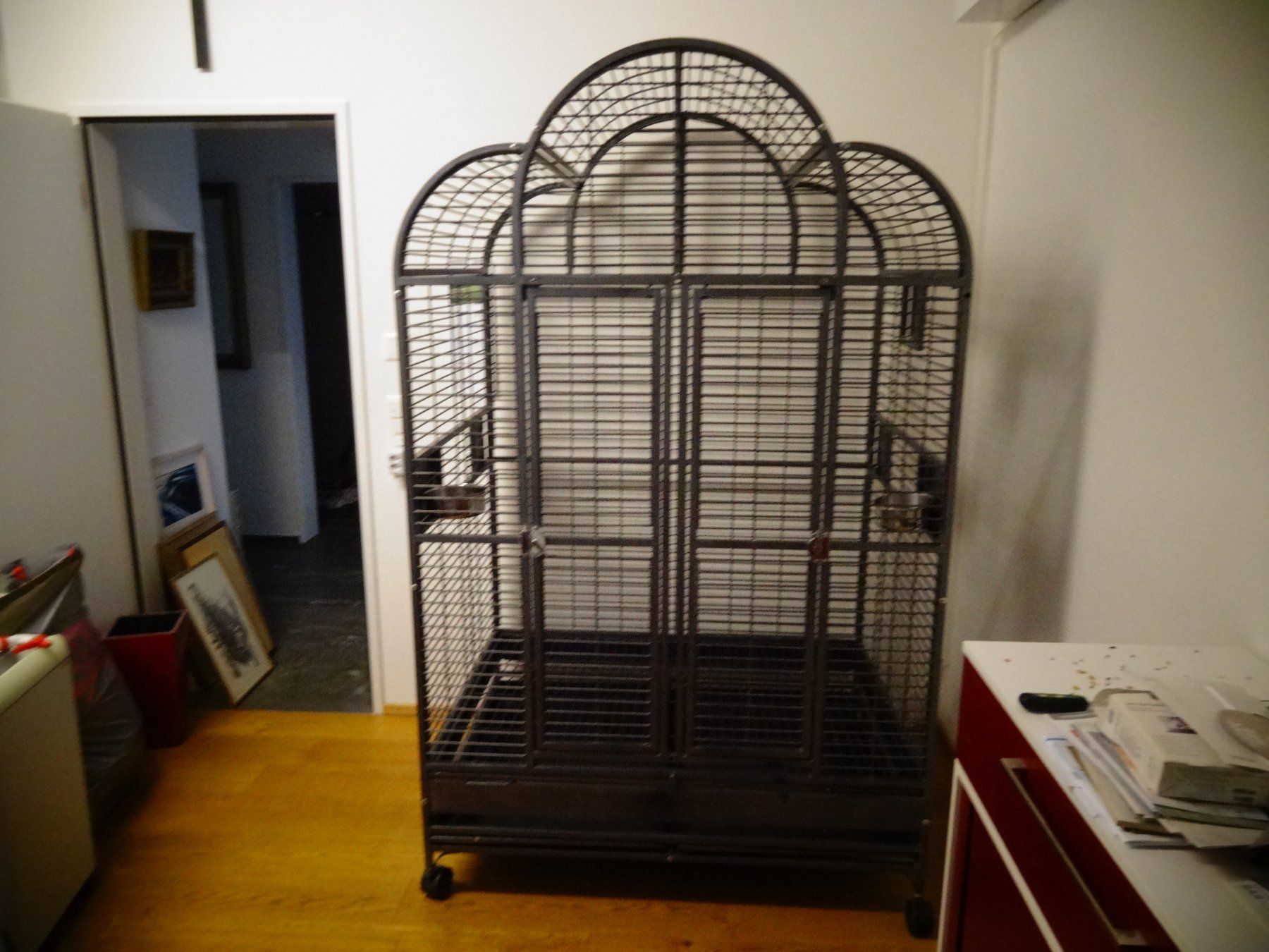 Cages, transport & sécurité: Voliere gross für Vögel – D'occasion à Neerach par jenny062