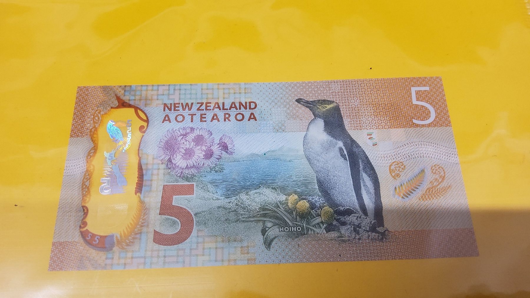 Banconote: Neuseeland 5 Dollar Note, unzirkuliert, Top – Nuovo e nell'imballaggio originale da Herisau venduto da Nluanalucas 1
