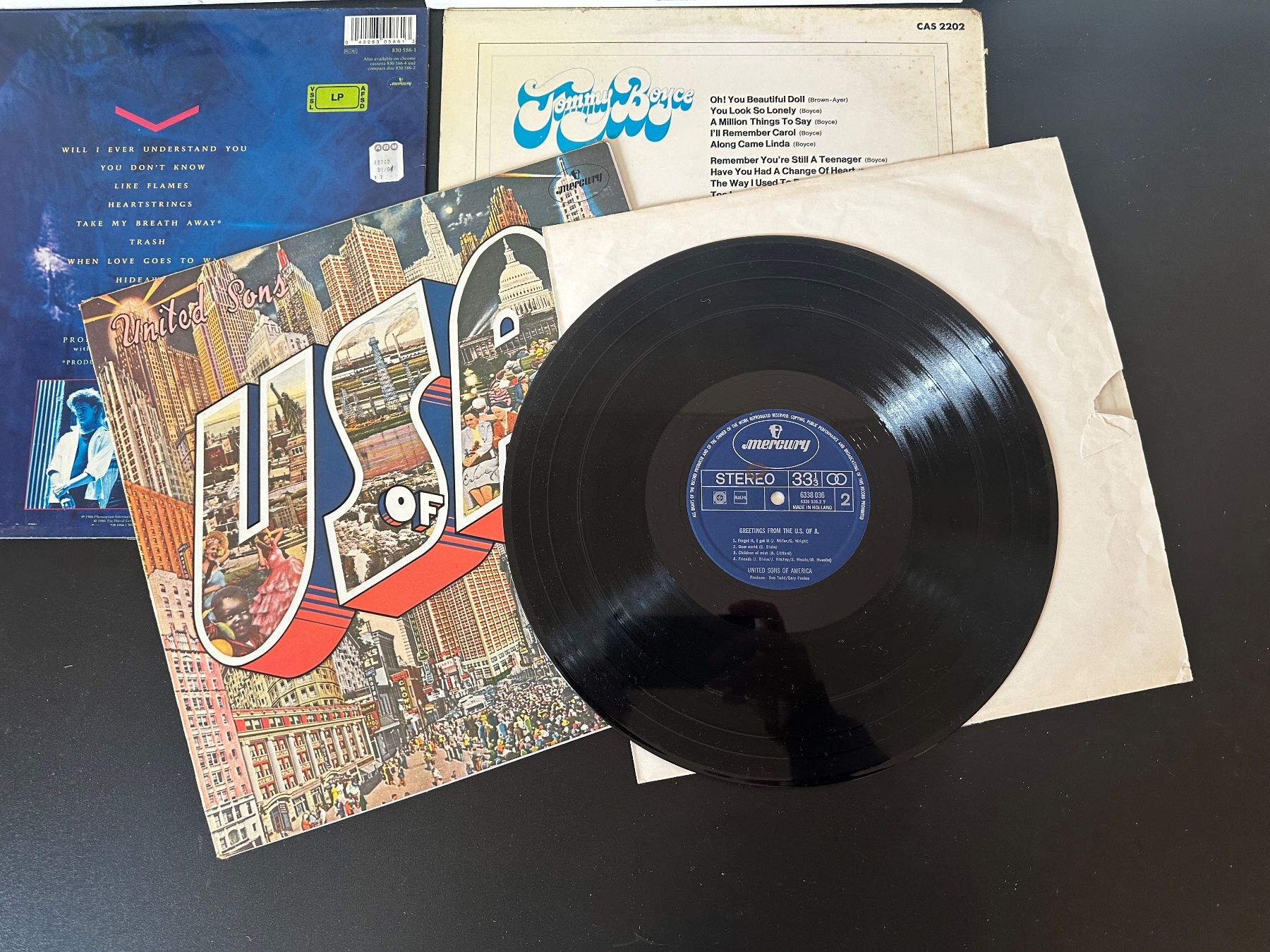 Dischi in vinile: 18 Vinyl Langspielplatten gemischt Rock/Pop usw. – Usato da Amriswil venduto da Valk1 9