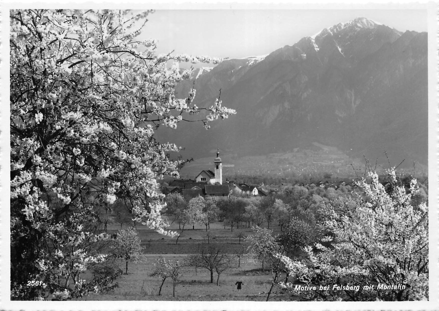 Cartoline postali: Felsberg, Montalin – Usato da Ottikon b.Kemptth. venduto da Neptun1974