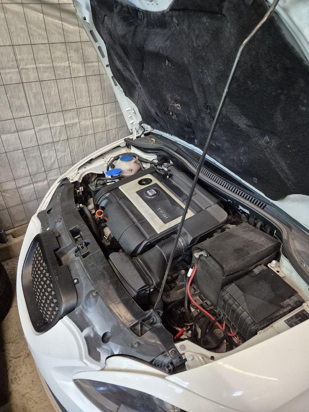Seat Automobili: Seat leon 2.0fr tfsi  – Usato da Madiswil venduto da flu_5ly2 4