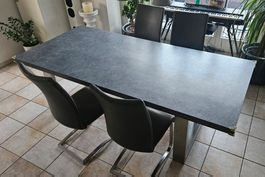 Esstisch 220x100x78 mit 4 Leder-Stühlen grau