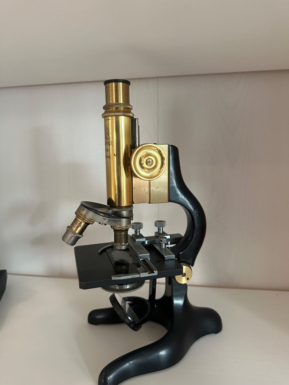Mikroskopie: Leitz Mikroskop – Gebraucht aus Hirzel von Harp079340 1
