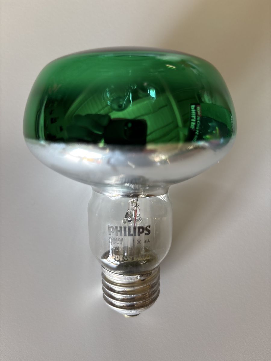 Philips Lampade: Discospot R80 grün – Nuovo e nell'imballaggio originale da Kirchleerau venduto da koerbel 1