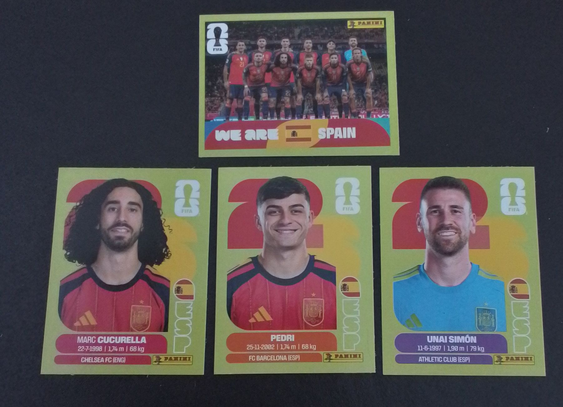 Panini Carte collezionabili: Panini WC Spain – Usato da Wila venduto da Flashing_D