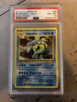 2016 Pokemon XY Gyarados Holo PSA 8 NM-MT