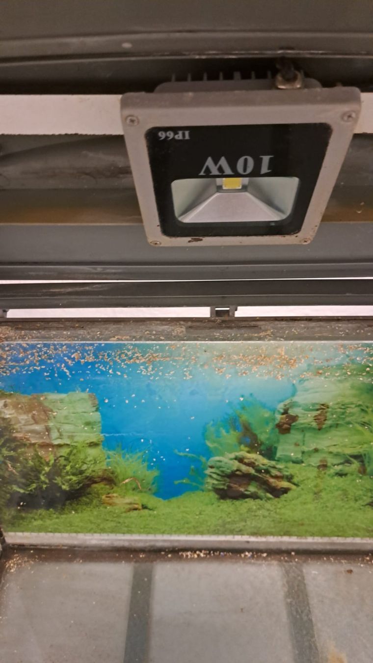 Aquarium: Aquarium – D'occasion à Oberentfelden par Myri13 2