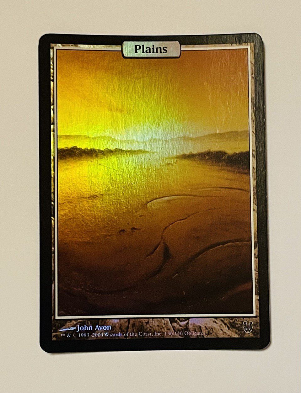 Magic The Gathering Carte collezionabili: Magic the Gathering Plains Foil Unhinged 2004 – Usato da Duggingen venduto da nad_6yzh
