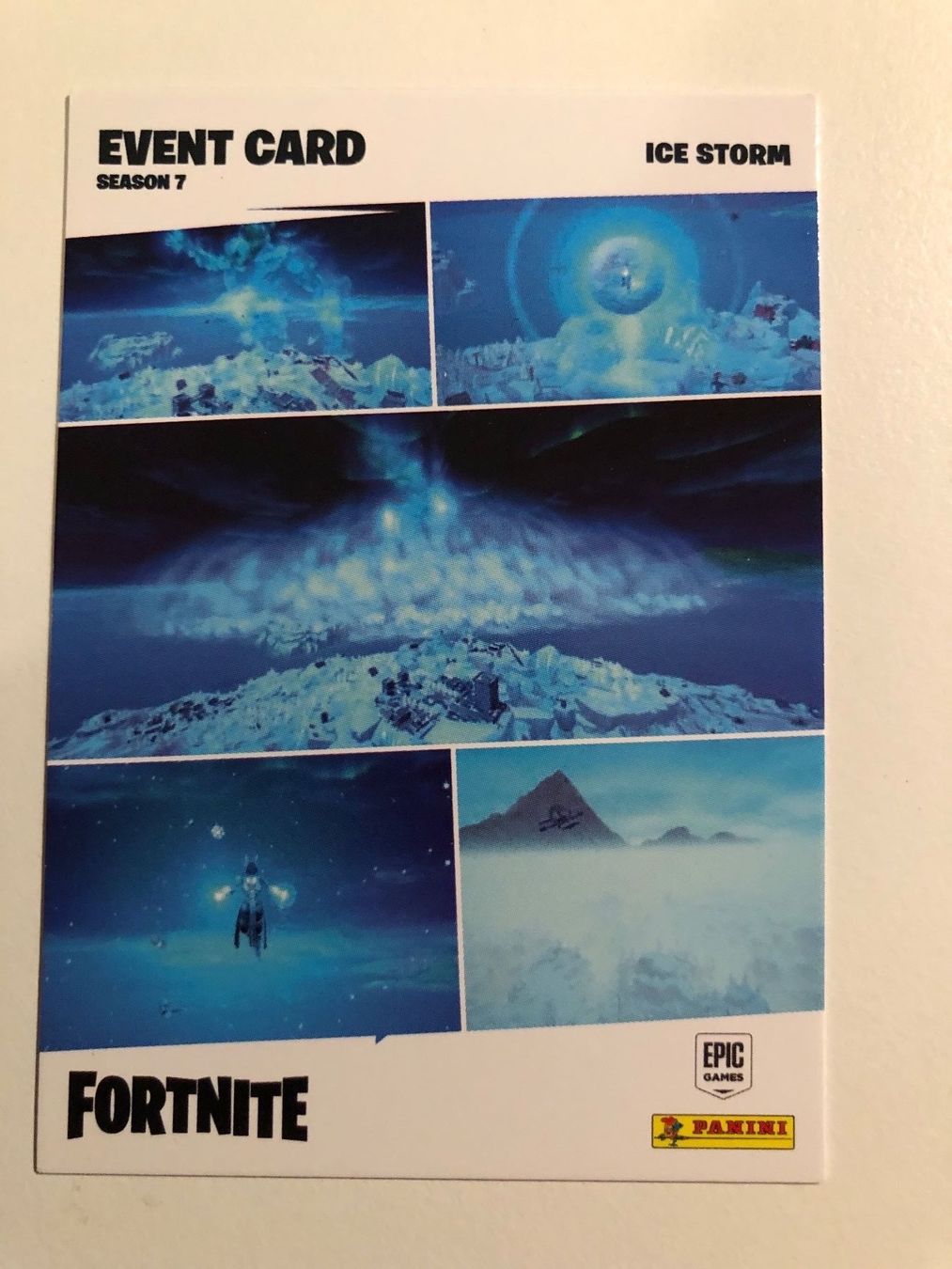 Panini Carte collezionabili: Ice Storm 201 Fortnite – Usato da Eschlikon TG venduto da ArtRec 1
