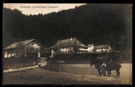 AK Burgdorf, Gasthaus Sommerhaus, Panorama mit Bauer u. Pfer